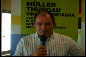 Il legame tra vitigno e territorio &egrave; una delle chiavi del successo di tanti vini italiani. Ed uno degli esempi pi&ugrave; calzanti di questa unione &egrave; il Muller Thurgau, tra i pi&ugrave; identitari nettari che nascono dai vigneti di montagna del Trentino Alto Adige
