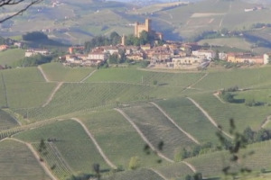 I grandi vini delle Langhe ed il primo paesaggio vinicolo &ldquo;Patrimonio Unesco&rdquo; d'Italia protagonisti nei giorni scorsi di &ldquo;Nebbiolo Prima&rdquo;. Le parole del presidente del Consorzio Barolo Barbaresco Alba Langhe e Dogliani, Pietro Ratti