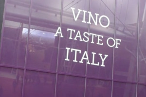 La Domus Vinii, i colori del vino, il &ldquo;mare&rdquo; di Bacco in cui si specchiano la musica, la lirica e la commedia dell&rsquo;arte ispirata a Dioniso, e poi lo spumante che si fa istallazione moderna, la &ldquo;biblioteca&rdquo; con 1.400 etichette e non solo ...