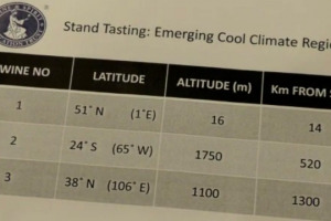 Che arrivino dalle alture dell&rsquo;Argentina o da quelle dalla Cina, o che siano gli sparkling wine dell&rsquo;Inghilterra, i &ldquo;vini da climi freddi&rdquo; iniziano ad essere una macrocategoria appetibile per il mercato del vino mondiale
