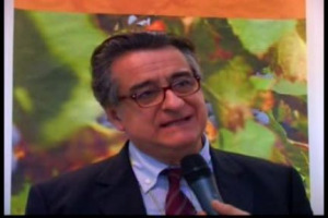 I vini della Puglia stanno vivendo una vera e propria rinascita, grazie alla riscoperta ed alla valorizzazione degli storici vitigni autoctoni ed all&rsquo;exploit che stanno vivendo i rosati, bandiera del rinnovamento enoico del Sud Italia