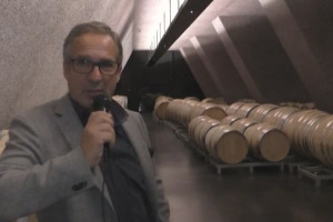 Nel mondo del vino italiano, quando si parla di cooperazione, generalmente, si pensa a grandi capacit&agrave; produttive senza per&ograve; raggiungere quasi mai, vette qualitative importanti. Le cose, per&ograve;, cambiano quando si guarda alla cooperazione altoatesina