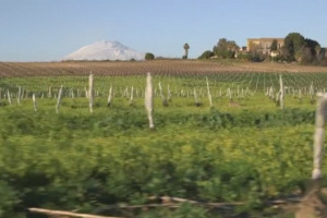 Dopo il grande successo recente, la Sicilia del vino punta al salto di qualit&agrave; definitivo nei mercati del mondo. Come farlo? Le parole di istituzioni, produttori e giornalisti stranieri. Da Antonio Rallo (Doc Sicilia) a Francesco Ferreri (Assovini)