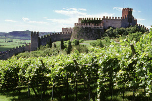Il Soave punta al salto di qualit&agrave;, non solo nel calici, ma anche nel suo racconto al mondo, puntando sulla sua storia e sui suoi &ldquo;Cru&rdquo;, oltre 64, che iniziano il percorso per entrare in etichetta. Parla il dg del Consorzio del Soave Aldo Lorenzoni