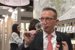 Dal racconto dei vini dei vulcani al tema dei paesaggi storici, dal percorso per il riconoscimento Gihas della Fao alla messa a sistema di &ldquo;Cru&rdquo; e vigne: festeggiati i suoi primi 50 anni di Denominazione, il Soave guarda al futuro pensando da grande