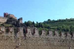 Il Soave tra storia, identità e biodiversità da salvaguardare, indissolubilmente legate alla collina, oltre che alle vigne vecchie e al territorio vulcanico, e una capacita di invecchiare non comune per un vino bianco nato per essere bevuto giovane