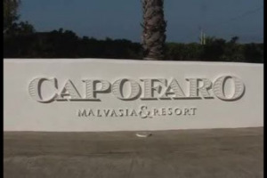 Sostenibilit&agrave; non &egrave; solo rispetto per l&rsquo;ambiente, ma investire sul territorio, mettendo a disposizione la forza della propria azienda anche a servizio di chi da solo non potrebbe crescere. Anche dal punto di vista economico. Il caso Tasca d&rsquo;Almerita