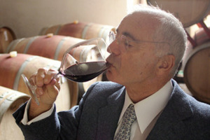 Il passaggio dalla mezzadria all&rsquo;agricoltura di impresa, l&rsquo;agricoltura oggi e domani, ed il ruolo del vino di qualit&agrave;: a tu per tu con Gian Annibale Rossi di Medelana, alla guida di Castello del Terriccio, dove nasce il grande Lupicaia
