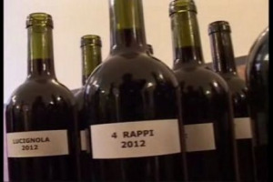 Alzano, Dunnuni, Lucignola, 4 Rappi, Vitrarolo, Zibibbo Nero: ecco alcuni dei &lsquo;&lsquo;vitigni reliquia&rsquo;&rsquo; dell&rsquo;enologia siciliana, recuperati da un progetto by Regione e Assovini, con le Universit&agrave; di Milano, Roma e il Centro Ricerche di Marsala