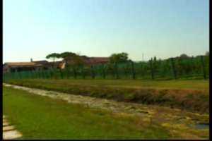 Quando un progetto vinicolo va al di l&agrave; del vino stesso, e si trasforma in iniziativa di impresa culturale, storica e sociale: succede a Venissa, la vigna murata sull&rsquo;Isola di Mazzorbo, a Venezia, recuperata dalla famiglia Bisol