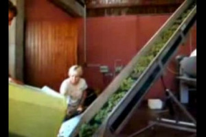 &lsquo;&lsquo;Il vino vive una crisi di sovrapproduzione. &Egrave; un tema con il quale dovremo convivere, valorizzando il prodotto e cercando i mercati di sbocco, che cambiano in grande velocit&agrave;&rsquo;&rsquo;. Cos&igrave; Adriano Tomba di Banco Popolare