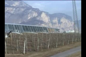 L'esempio virtuoso della cooperazione vitivinicola trentina: nata in un periodo storico di bisogno, grazie anche alla spinta della Chiesa, &egrave; oggi sinonimo di alta qualit&agrave; e successo commerciale in tutto il mondo