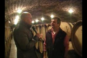 A voi il mito! Esclusiva intervista di WineNews ad Eric Rousseau, uno dei vigneron pi&ugrave; celebrati del mondo, per capire le dinamiche di prezzo e la fama dei vini di Borgogna