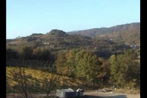 Josko Gravner! La storia, le idee, le scelte radicali e anticonformiste di uno dei vigneron pi&ugrave; straordinari del mondo. Ecco il servizio esclusivo che WineNews ha realizzato presso la sua azienda