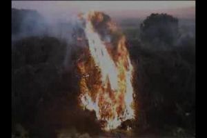 I fal&ograve; notturni di San Giorgio. Un antichissimo rito pagano, propiziatorio della vendemmia, che riannoda i fili della storia e ci ricorda la dimensione popolare del vino