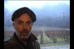 Ritorno alla vigna... perch&egrave; le viti italiane invecchiano cos&igrave; precocemente, quali sono i segreti per allungare l'et&agrave; media del nostro vigneto, premessa indispensabile per produrre grandi vini?