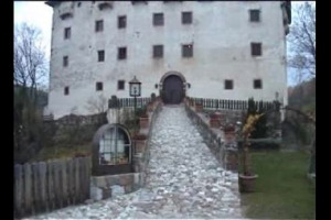 Ecco a voi la vite pi&ugrave; vecchia del mondo! Ha 350 anni, si chiama Versoaln e si trova in Alto Adige, presso i giardini di Sissi a Castel Trauttmansdorff, nella frazione di Tesimo. E produce un vino che sa di storia ...