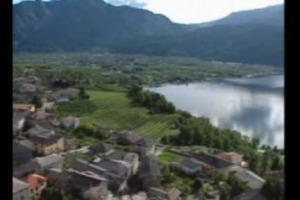 I cicli di affreschi di Villa Margon alle porte di Trento, sede di rappresentanza degli spumanti Ferrari, testimoniano una viticoltura gi&agrave; nel Cinquecento elemento centrale della vita e dell&rsquo;economia del territorio