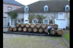 Si fa presto a dire Champagne: tante realt&agrave; diverse dietro le grandi bollicine francesi: piccoli vigneron, grandi Maison di gruppi internazionali, poche che appartengono ancora alle famiglie d&rsquo;origine. E nella linea di confine c&rsquo;&egrave; il mito Bollinger!