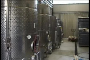 Uno straordinario progetto di vino, e di vita. E’ quello della Cooperativa Lazzaria, presieduta da Stefano Lenci, nel carcere di Velletri