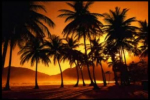 Il modello di successo dell&rsquo;enoturismo della Napa e Sonoma Valley in California nasce dal perfetto mix tra l&rsquo;&lsquo;italian style&rsquo; nel pensare il vino, e l&rsquo;&lsquo;american style&rsquo; nel fare businnes. Parola di Richard P. Inkle, cofondatore di Wine Spectator