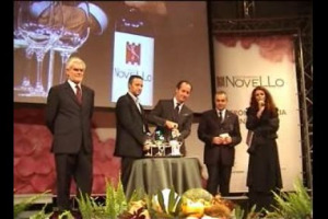 Amato e odiato, celebrato e bistrattato, il vino novello reclama la sua dignit&agrave;, anche in virt&ugrave; di un volume di vendite tutt'altro che trascurabile. Le opinioni di addetti ai lavori e appassionati in occasione dell&rsquo;Anteprima Novello 2008 di Verona