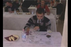 Conoscono il vino ma non sono professionisti, giovani appassionati di Bacco che si sono sfidati a colpi di brindisi per eleggere il miglior degustatore. Tante storie che hanno attraversato tutta Italia con le Viniadi