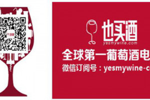 In Cina va forte l&rsquo;e-commerce di vino. &ldquo;Anche perch&egrave; la Cina &egrave; grande, e con internet si vende ovunque. L&rsquo;Italia domina con le bollicine, va bene con i vini entry level, ma sta crescendo anche la qualit&agrave;, soprattutto con Brunello e Barolo&rdquo;