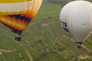 Dalla vista inimitabile sui panorami vitati della Valpolicella a bordo di mongolfiere, all&rsquo;inedito ruolo di WineNews &ldquo;in vendemmia&rdquo; tra i filari della griffe Allegrini, passando per il futuro di questo splendido territorio secondo Franco Allegrini