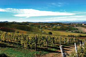 Il Monferrato, vicino di casa delle pi&ugrave; famose Langhe, ha iniziato un percorso di rivalutazione e rilancio delle sue tante anime enoiche, come racconta a WineNews Filippo Mobrici, il (riconfermato) presidente del Consorzio Barbera e Monferrato