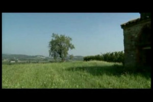 Tra storia e tecniche d&rsquo;avanguardia, tra tradizione e viticoltura di precisione: Berlucchi, griffe delle bollicine di Franciacorta, si racconta nel momento fondamentale per ogni azienda vitivinicola, la vendemmia!