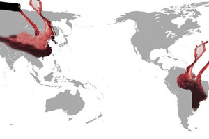 Cina e Brasile, due mercati che, ad oggi, sono grandi promesse ancora non mantenute per il vino Italiano, tra problemi economici e politici interni, cambiamento di stili di vita ed una competizione (non solo francese) sempre pi&ugrave; forte