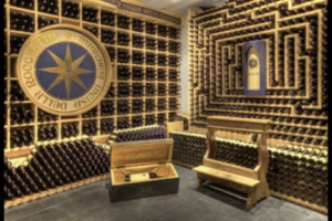 &lsquo;&lsquo;Il vino &egrave; vivo, ha un&rsquo;anima, perch&eacute; vive, cambia, si trasforma, evolve, come gli essere umani&rsquo;&rsquo;. Alla scoperta di una delle cantine pi&ugrave; prestigiose d&rsquo;Italia, quella dell&rsquo;Hotel La Perla, in Alta Badia, raccontata dal proprietario Michil Costa