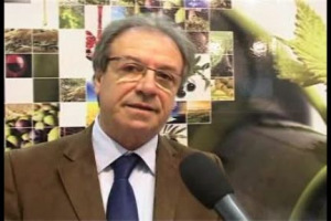 Ripartire dal vino come veicolo importante e simbolico per il recupero di spazi di legalit&agrave;. Dalla Sicilia l&rsquo;esempio di Centopassi, l&rsquo;etichetta di Libera Terra, l&rsquo;associazione di Don Ciotti che si occupa del recupero dei terreni confiscati alla mafia