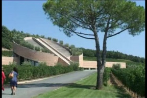 Cambiamento climatico, binomio blend-purezza, disciplinari e rapporto vitigno-terroir: conversazione con Pascal Chatonnet, uno dei winemaker pi&ugrave; famosi del mondo ed ora enologo della cantina Petra del Gruppo Terra Moretti a Suvereto