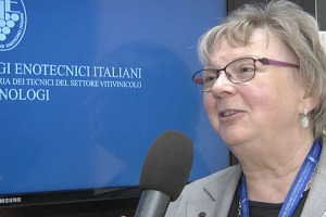 &ldquo;In futuro molte cose cambieranno, anche per la viticoltura e per l&rsquo;enologia, al punto che forse dovremo anche ripensare la definizione stessa di vino&rdquo;: cos&igrave; Monika Christmann, presidente Organisation Internationale de la Vigne et du Vin