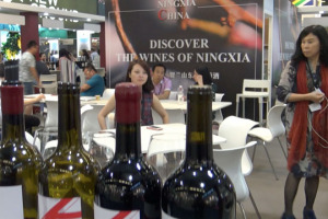 Cos&igrave; lontana geograficamente, cos&igrave; vicina nei pensieri dei produttori di tutto il mondo, la Cina, il mercato del futuro, si scopre Paese produttore, a partire dalla Regione di Ningxia, la Bordeaux cinese protagonista, con i suoi produttori, a Vinexpo