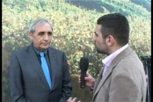 Cambia o non cambia? Riflessioni sui mutamenti climatici in relazione alla viticoltura di qualit&agrave;. Tra gestione dell'emergenza e rilancio ambientale...