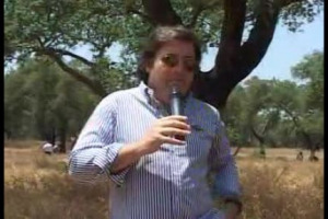 Nelle foreste da sughero del Mediterraneo il periodo della decortica volge ormai al termine. Un processo delicato, ed anche il primo step nella produzione dei tappi che andranno a chiudere miliardi di bottiglie in tutto il mondo