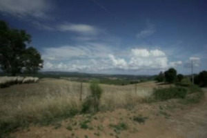 Chi &egrave; l&rsquo;enoturista 2011? Cosa lo spinge a visitare territori e vigneti? Come cambiano le cantine, non pi&ugrave; solo luogo di produzione ma anche di accoglienza e di cultura? Parola a osservatori e protagonisti di un fenomeno di successo ...