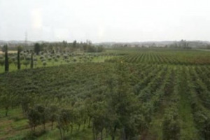 Vino, territorio, metodo: i 3 cardini del successo del Franciacorta, il metodo classico lombardo che, dopo aver conquistato l&rsquo;Italia, si prepara alla presa dell&rsquo;Europa, dalla Germania al Regno Unito, e dell&rsquo;Asia, dal Giappone alla Cina