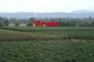 Un territorio, una filiera d&rsquo;eccellenza del made in Italy, passione, ma anche turismo, corsi di formazione e voglia di imporsi, in Italia come all&rsquo;estero. Ecco come sta e dove sta andando il Franciacorta