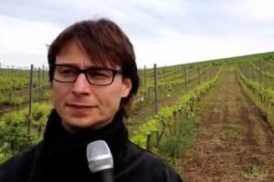 Nel Meridione d&rsquo;Italia Libera Terra gestisce 1.000 ettari di terreni agricoli confiscati alle mafie, tra cui, specie in Sicilia, tantissimi vigneti, salvati, anche prima della confisca definitiva, all&rsquo;abbandono, come racconta Gianluca Faraone