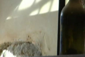 Percorsi alternativi per l&rsquo;estate: se tra mare e montagna non sapete che fare, c&rsquo;&egrave; il Wi-Mu, il museo del vino di Castello di Barolo, per scoprire il nettare di Bacco in modo diverso, multimediale e moderno ...