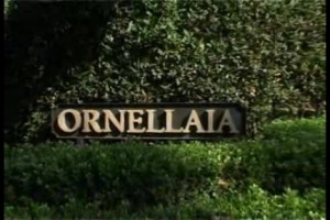 La storia del vino e delle aziende che lo producono &egrave; fatta da grandi bottiglie e da grandi personaggi. L&rsquo;incredibile esempio di Ornellaia, prestigiosa tenuta bolgherese fondata da Lodovico Antinori, nei racconti del direttore Leonardo Raspini