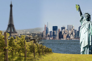 Il vino, ormai, si produce in tutto il mondo. Anche dentro alle grandi citt&agrave;. Tra le curiosit&agrave; scovate da Wine News, a Vinexpo, anche quelle del primo progetto vinicolo professionale a Parigi, e la viticoltura di New York City e dintorni
