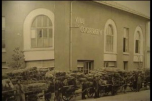 I Vivai Cooperativi Rauscedo, con pi&ugrave; di 80 anni di storia alle spalle, sono la pi&ugrave; grandi nursery di variet&agrave; viticole al mondo, capaci di soddisfare le esigenze ampelografiche di migliaia di aziende