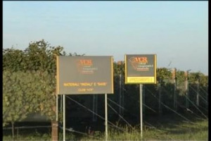 Non solo i vini ma, con tempi &lsquo;&lsquo;naturalmente&rsquo;&rsquo; lenti, anche i vitigni subiscono le oscillazioni delle mode e delle tendenze: ecco chi scende e chi sale nel gradimento delle variet&agrave; ampelografiche mondiali