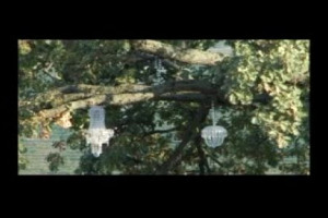 Cantine non pi&ugrave; solo da visitare per degustazioni, tour nella bottaia o per incontrare il produttore, ma veri poli di attrazione turistica, con ristoranti di alto livello e resort di charme. Come il Palas Cerequio di Chiarlo, nel cuore del Barolo ...