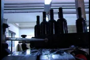 Molteplici territori in una sola grande isola. E&rsquo; la Sicilia enoica, con le sue decine di sfaccettature vitivinicole. Dall&rsquo;Etna a Trapani &egrave; tutto un florilegio di uve, di terroir, di vinificazioni diverse ...